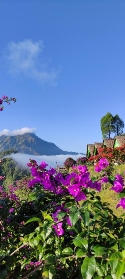 Hôtel Bukitsari Sunrise Glamping à Kintamani Extérieur photo